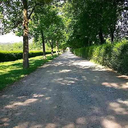 Bed and Breakfast L'albero Maestro
