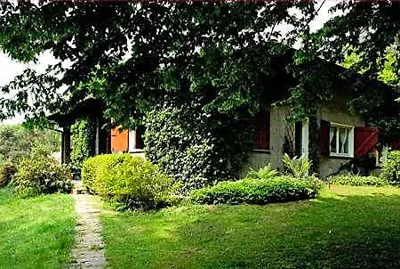 L'albero Maestro