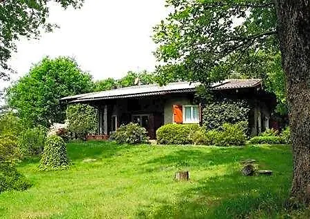 L'albero Maestro 3*