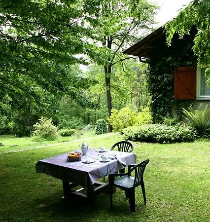 L'albero Maestro Bed and Breakfast