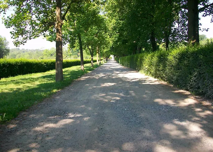 L'albero Maestro Bed & Breakfast Orsenigo