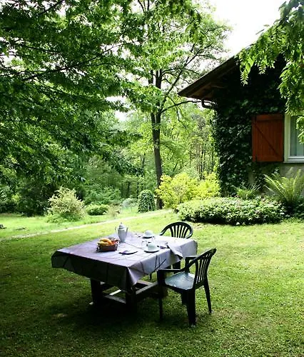 L'albero Maestro Bed & Breakfast